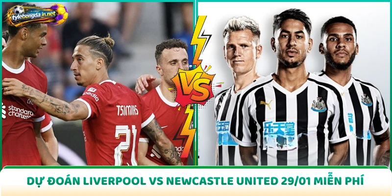 Dự Đoán Liverpool Vs Newcastle United 29/01 Miễn Phí