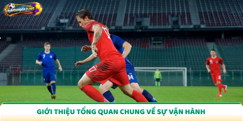 Giới thiệu tổng quan chung về sự vận hành