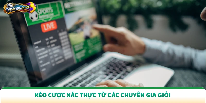 Kèo cược xác thực từ các chuyên gia giỏi