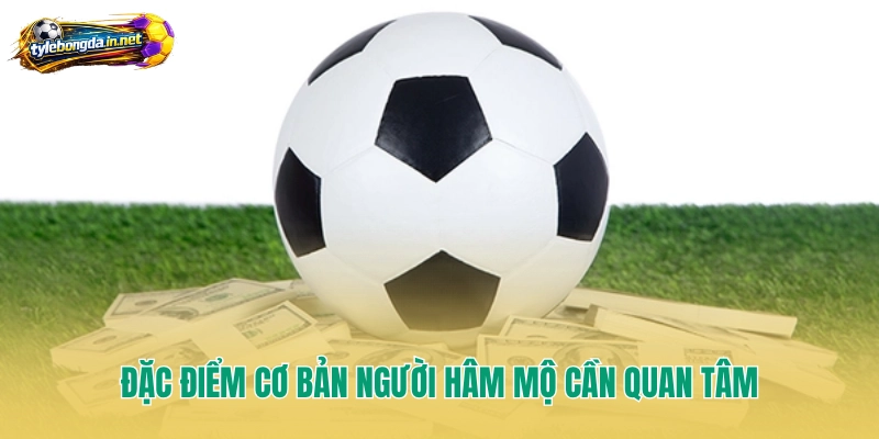 Đặc điểm cơ bản người hâm mộ cần quan tâm